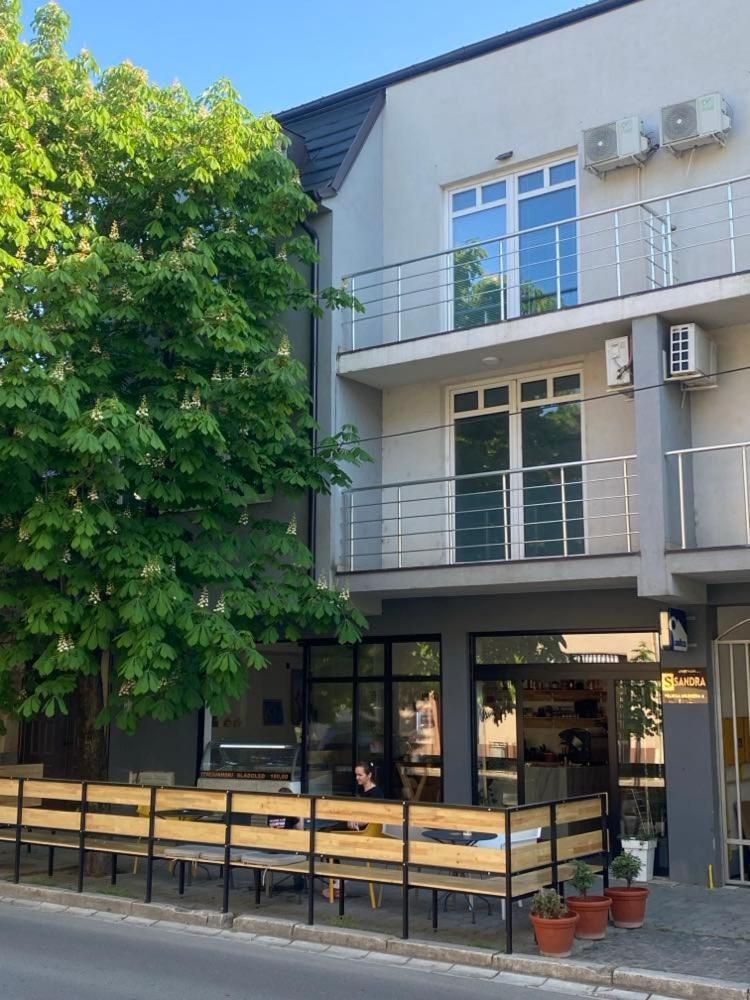 Sandra Apartmani Vrsac Bagian luar foto