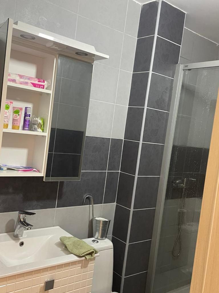 Sandra Apartmani Vrsac Bagian luar foto
